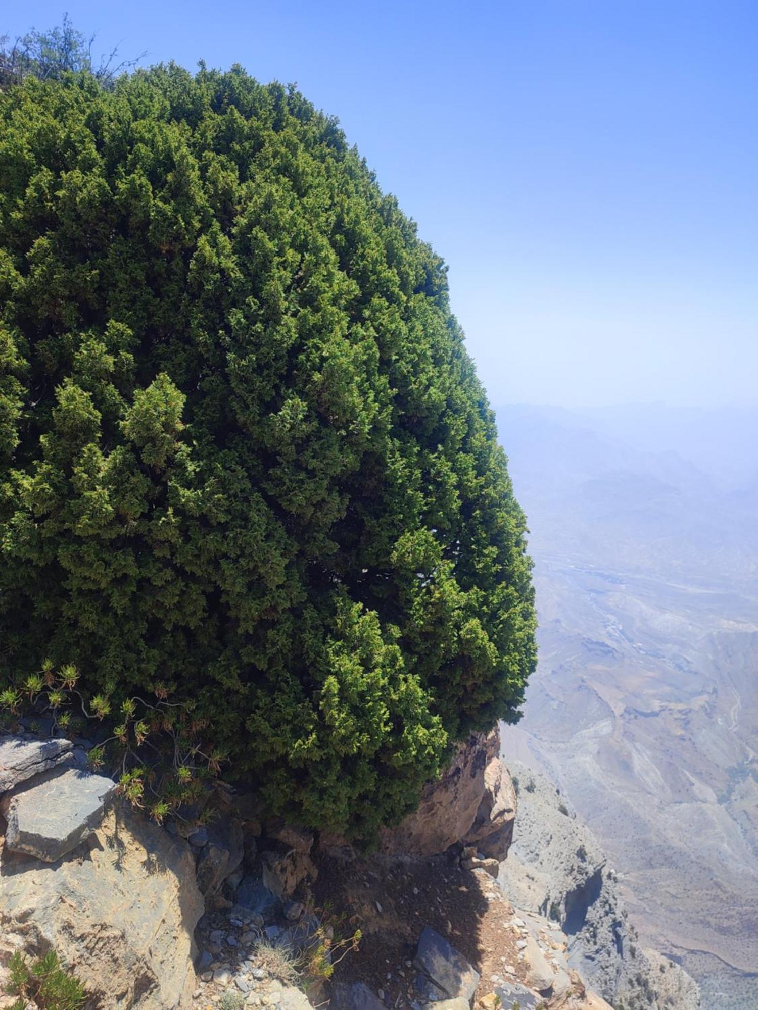 Stone Rest House Jebel Shams Al Ḩamrāʼ Dış mekan fotoğraf